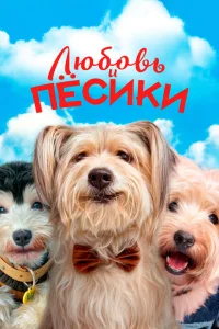 Любовь и пёсики Любовь и пёсики