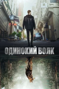 Одинокий волк Одинокий волк