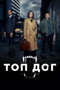 Топ дог Топ дог