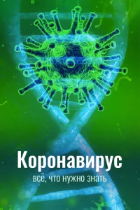 Коронавирус. Все, что нужно знать Коронавирус. Все, что нужно знать